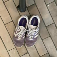 구두 & 재킷 Brown, purple, iLost를 사용하여 MEININGER Hotel München City Center에 보고됨