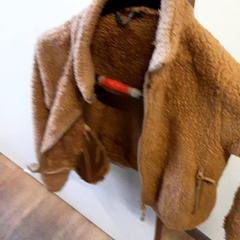 Dzseki, amint azt Qbuzz ZHN az iLost segítségével jelentette.