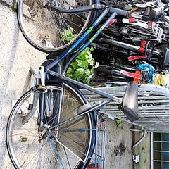 Dámsky bicykel gazelle, ako bolo nahlásené Stadswerk072 pomocou iLost