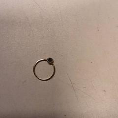 Ring, gemeldet von Qbuzz ZHN über iLost