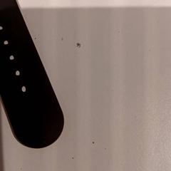 Inseguitore, come riportato da De Efteling utilizzando iLost