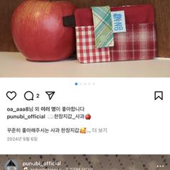 빨간색 체크 카드지갑 (신분증과 체크카드), som rapportert til iLost