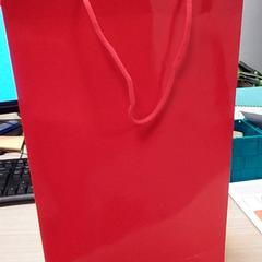 Poltsa Rood, gisa salatu by Qbuzz Fryslân iLost erabiliz