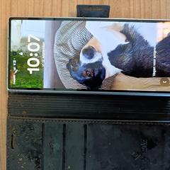 Samsung telefoon / mobiel, som rapportert til iLost