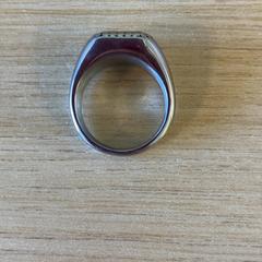 Anel zilverkleurig, como reportado por Keukenhof utilizando o iLost