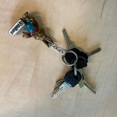 Nøkkel, som rapportert av Gemeente Stichtse Vecht ved bruk av iLost