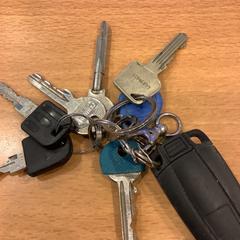 Sleutelbos, amint azt Gemeente Amsterdam az iLost segítségével jelentette.