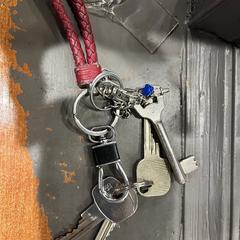 Sleutelbos がiLostに報告されました