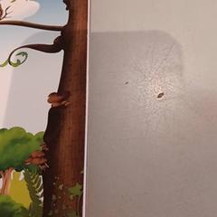 Souvenir, zoals gemeld door De Efteling met iLost