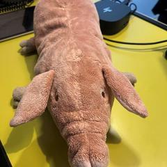 Knuffel, as reported by Room Mate Bruno using iLost