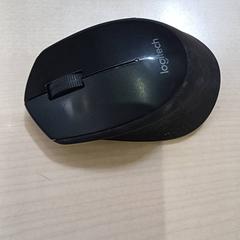 Mouse, as reported by Bolognalaan 101 using iLost