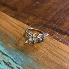 Zilveren ring がiLostに報告されました