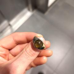 Ring, iLost-i jakinarazi zaion moduan