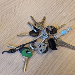 Sleutelbos がiLostに報告されました