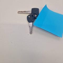 Sleutelbos, as reported by Transdev Gooi en Vechtstreek using iLost