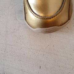 Children's shoe Goud, as reported by DierenPark Amersfoort using iLost