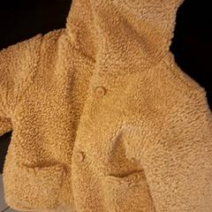 Chaqueta, ha sido reportado por DierenPark Amersfoort con iLost