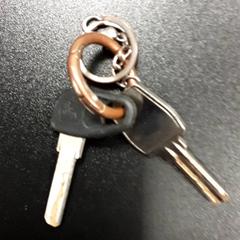 Keys Axa, scheeres, as reported by Arriva Vechtdallijnen using iLost