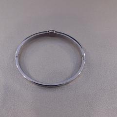 Armband, as reported by Walibi Holland using iLost