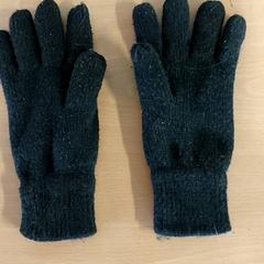 İLost kullanarak Centraal magazijn tarafından bildirildiği gibi Handschoenen zwart