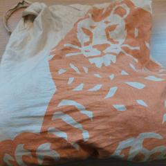 Bolsa de liño, segundo informou Regio Limburg - Leuven usando iLost