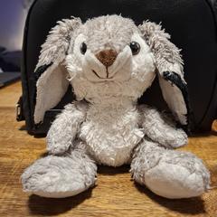 Knuffel konijn, come riportato a iLost