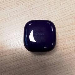 Oordopjeshouder Sony, zoals gemeld door Qbuzz Fryslân met iLost