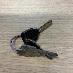 Portachiavi con chiavi, come riportato da Gemeente Arnhem utilizzando iLost