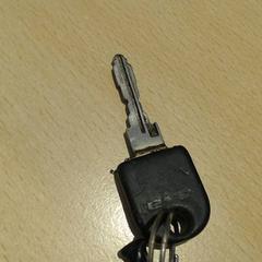 Chaveiro, como reportado por Walibi Holland utilizando o iLost