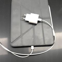 Ipad Grey case, White stylo, White charger, as reported by TU/e - Receptie Vertigo using iLost