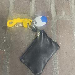 Sleutelhoes met sleutels, as reported to iLost