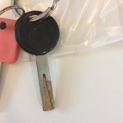 Schlüssel, gemeldet von Gemeente Barneveld über iLost