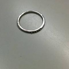 Ring, as reported by Burgers' Zoo using iLost
