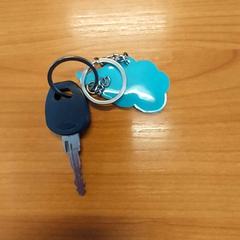 Key, as reported by Blauwnet Zwolle using iLost