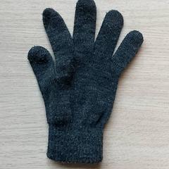 Handschoen, amint azt Regio Limburg - Leuven az iLost segítségével jelentette.