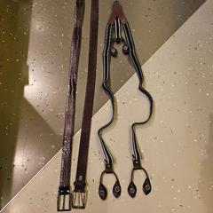 벨트, iLost를 사용하여 Room Mate Bruno에 보고됨