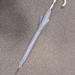 Regenschirm grijs, gemeldet von Regio Limburg - Leuven über iLost