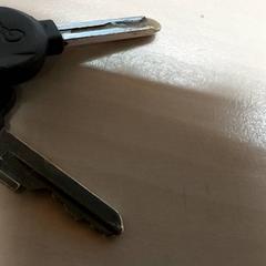 Clés, a été signalé par Centraal magazijn utilisant iLost