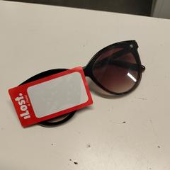 Ulleres de sol, segons ha informat Avonturenpark Hellendoorn mitjançant iLost