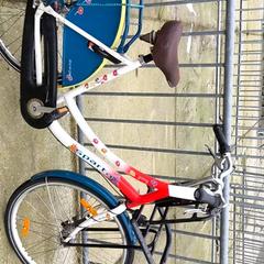 Bici da donna Sparta, come riportato da Stadswerk072 utilizzando iLost