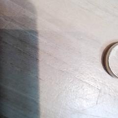 Ring, zoals gemeld door Beekse Bergen Resorts en Hotel met iLost