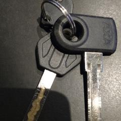 Sleutelbos, como reportado por TivoliVredenburg utilizando o iLost