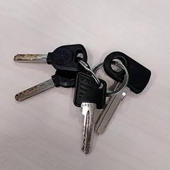 Portachiavi, come riportato da Arriva Limburg Zuid utilizzando iLost