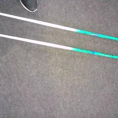 Skistokken wit/Groen, som rapportert av SnowWorld Landgraaf ved bruk av iLost