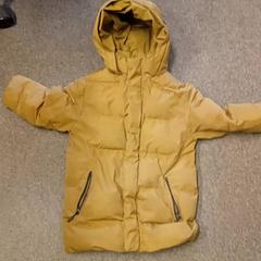 Dzseki Bruingroen kind, amint azt Burgers' Zoo az iLost segítségével jelentette.