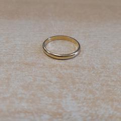 Ring, as reported by Dolfinarium using iLost