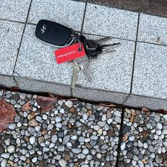 Sleutelbos met auto sleutel, som rapportert til iLost