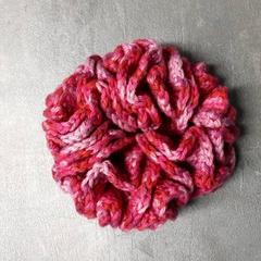 Scrunchie Roze, jak nahlášeno Arriva Friesland / Groningen pomocí iLost