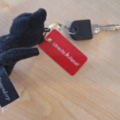 Sleutelhanger, come riportato a iLost