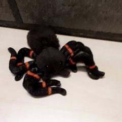 Knuffel, gisa salatu by Arriva Oost-Brabant iLost erabiliz